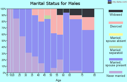 Zip code 54026 marital status for males