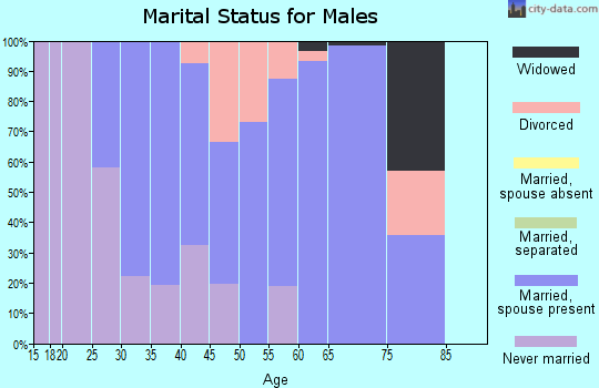 Zip code 54027 marital status for males