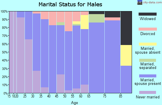Zip code 54028 marital status for males