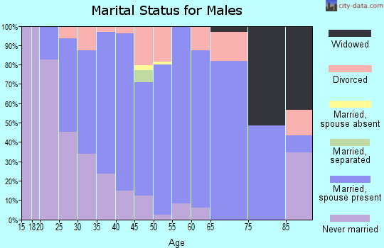Zip code 54101 marital status for males