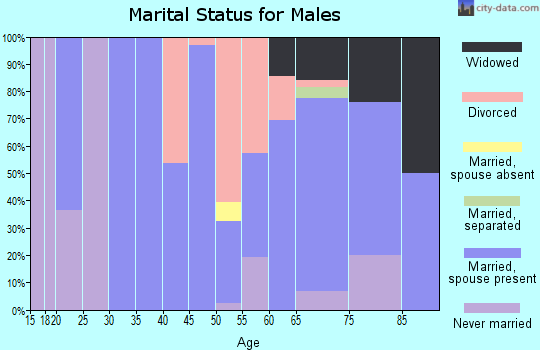 Zip code 54102 marital status for males