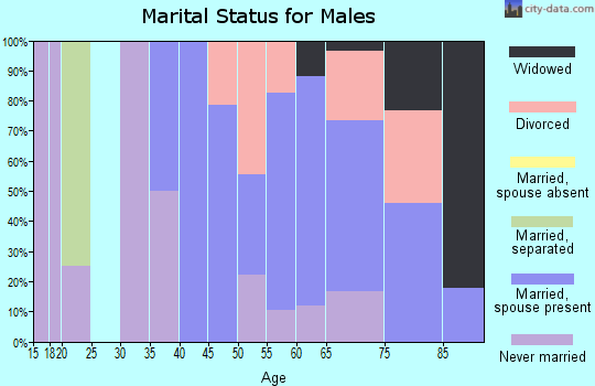 Zip code 54103 marital status for males