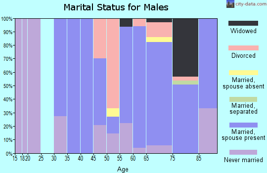 Zip code 54104 marital status for males