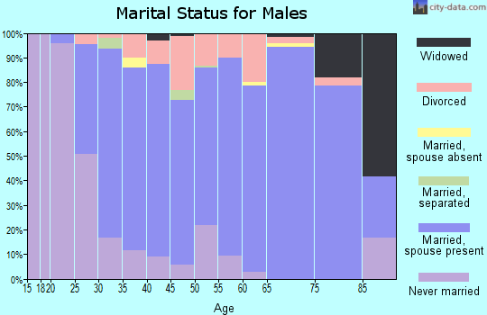 Zip code 54106 marital status for males