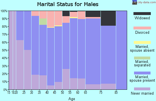 Zip code 54107 marital status for males