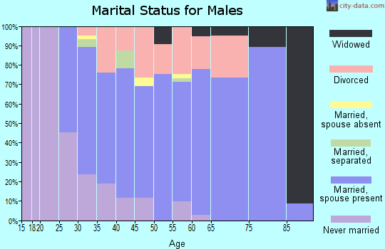 Zip code 54111 marital status for males