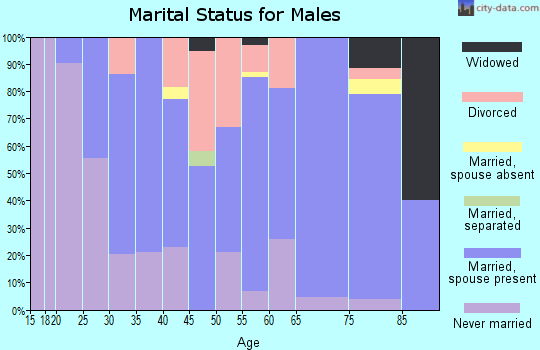 Zip code 54112 marital status for males