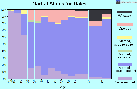 Zip code 54115 marital status for males