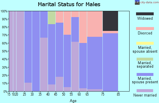 Zip code 54119 marital status for males