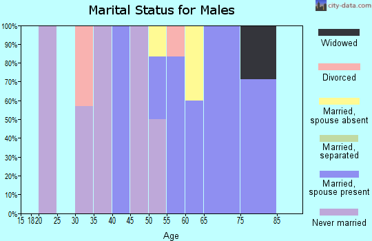 Zip code 54120 marital status for males