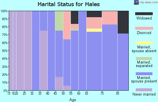 Zip code 54125 marital status for males