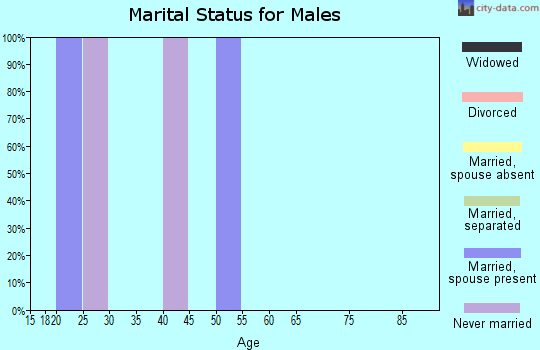 Zip code 54127 marital status for males