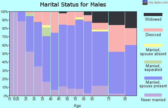 Zip code 54129 marital status for males