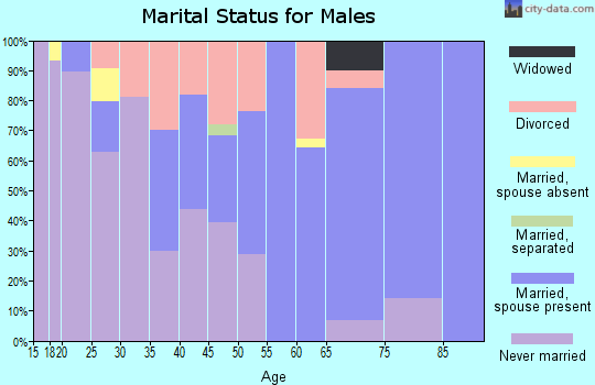 Zip code 54135 marital status for males