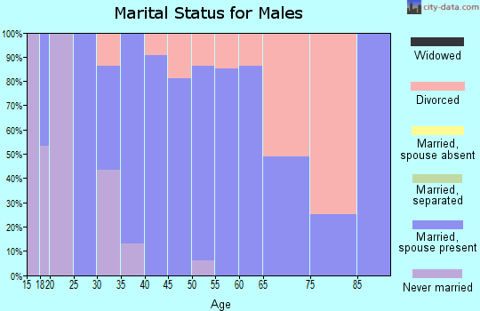 Zip code 54141 marital status for males