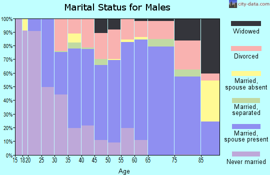 Zip code 54143 marital status for males