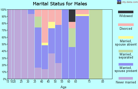 Zip code 54150 marital status for males
