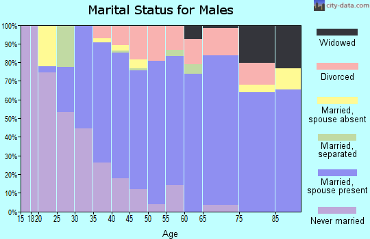 Zip code 54151 marital status for males