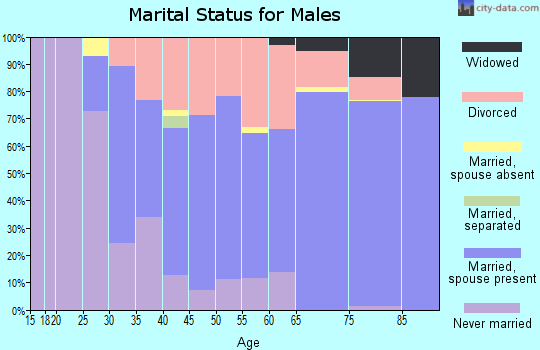 Zip code 54153 marital status for males