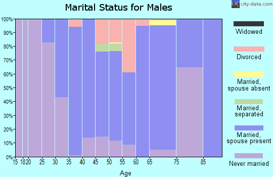 Zip code 54155 marital status for males