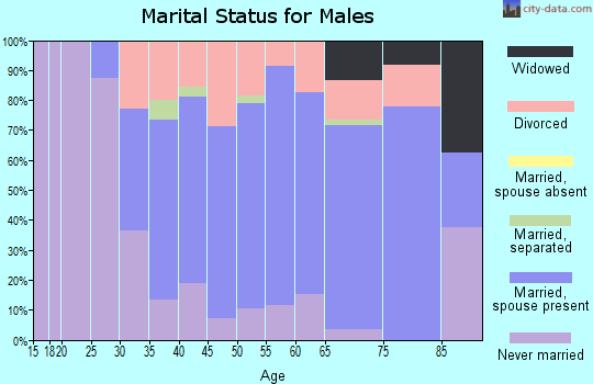 Zip code 54156 marital status for males