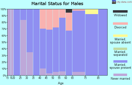 Zip code 54159 marital status for males