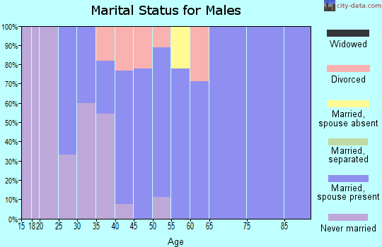 Zip code 54160 marital status for males