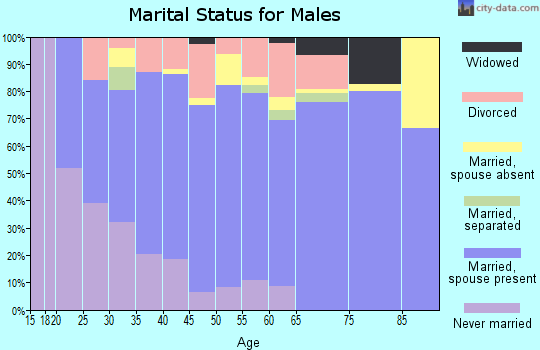 Zip code 54161 marital status for males