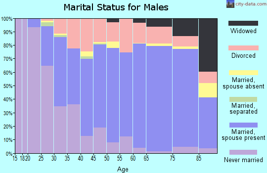 Zip code 54166 marital status for males