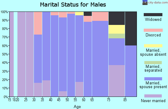 Zip code 54169 marital status for males