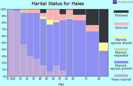 Zip code 54170 marital status for males