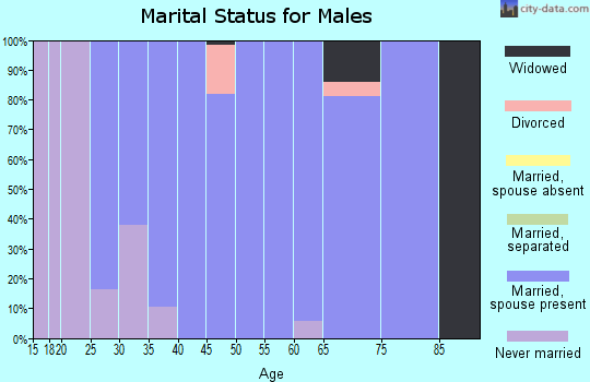 Zip code 54171 marital status for males