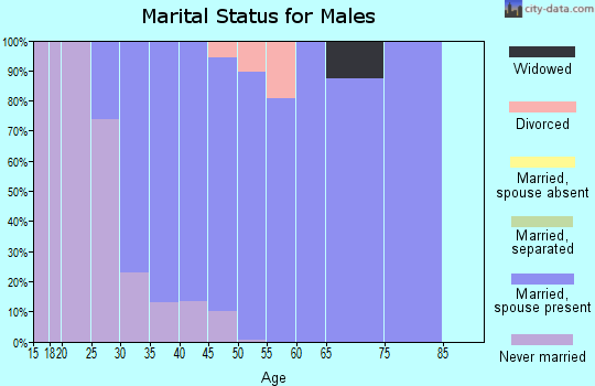 Zip code 54173 marital status for males