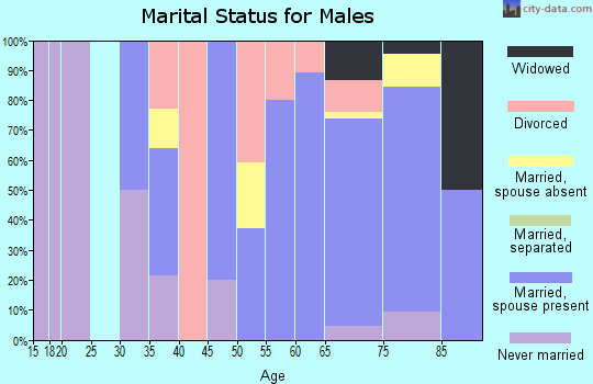 Zip code 54175 marital status for males