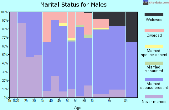 Zip code 54177 marital status for males