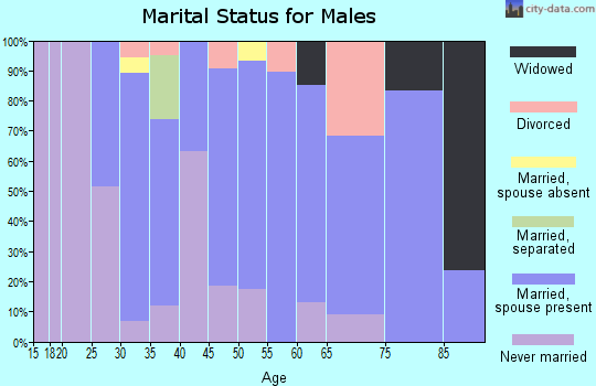 Zip code 54180 marital status for males