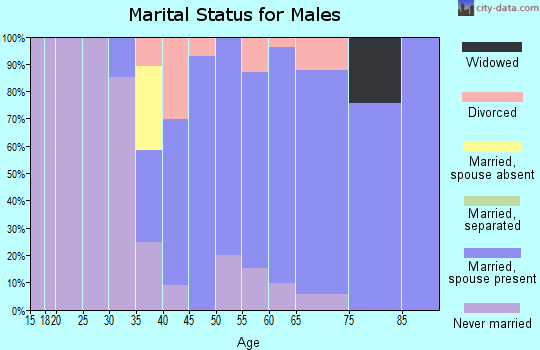 Zip code 54202 marital status for males