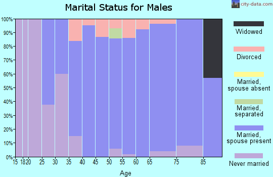 Zip code 54204 marital status for males