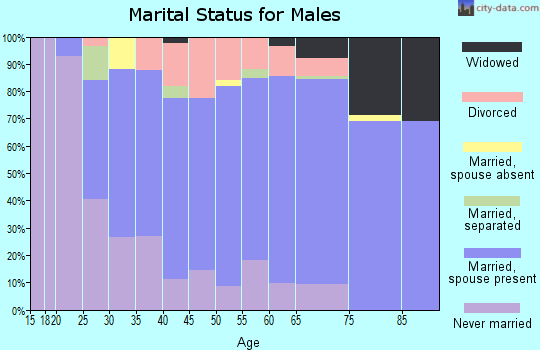 Zip code 54208 marital status for males
