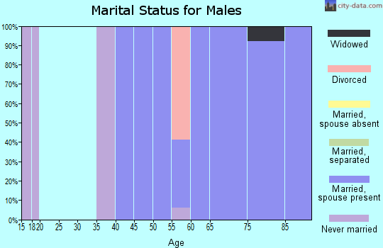 Zip code 54211 marital status for males