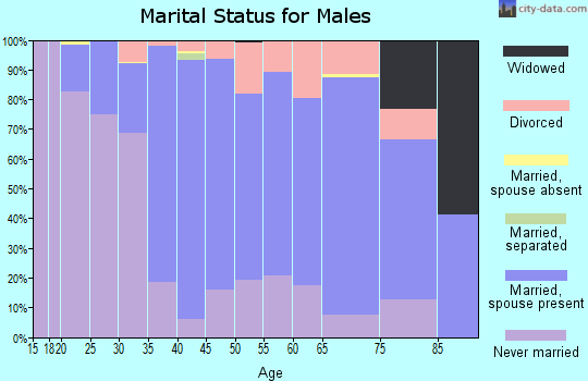 Zip code 54216 marital status for males