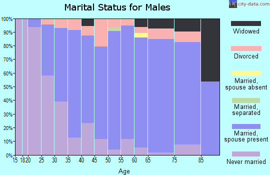 Zip code 54228 marital status for males