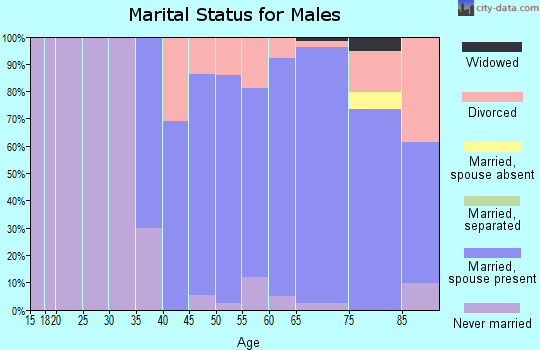Zip code 54234 marital status for males