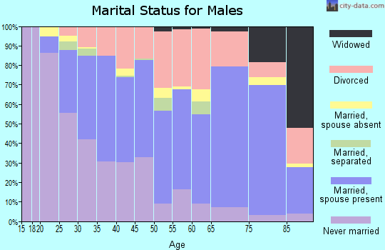 Zip code 54303 marital status for males