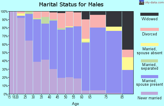 Zip code 54304 marital status for males