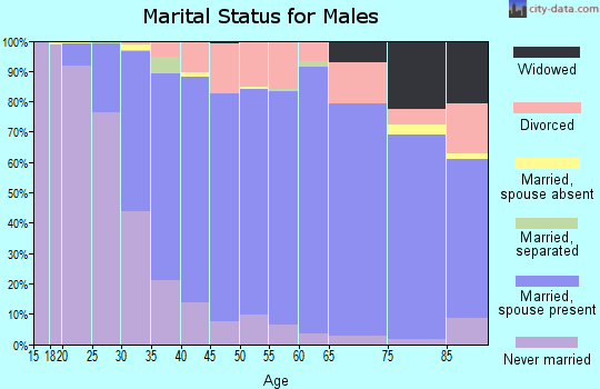Zip code 54311 marital status for males
