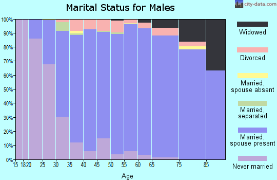 Zip code 54313 marital status for males