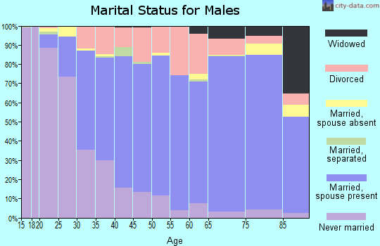 Zip code 54401 marital status for males