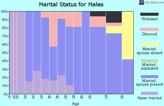 Zip code 54405 marital status for males