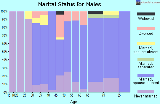 Zip code 54407 marital status for males